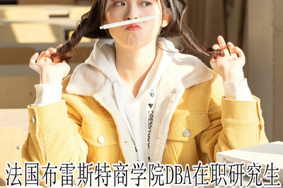 法国布雷斯特商学院DBA在职研究生
