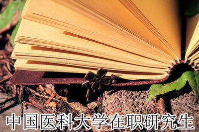 中国医科大学在职研究生