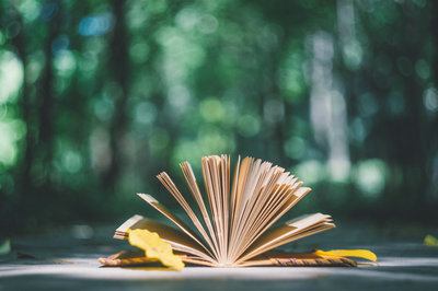 南京艺术学院在职研究生