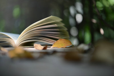 上海音乐学院非全日制研究生