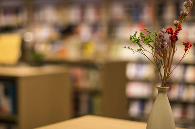 中国农业大学在职研究生 中国农业大学在职研究生